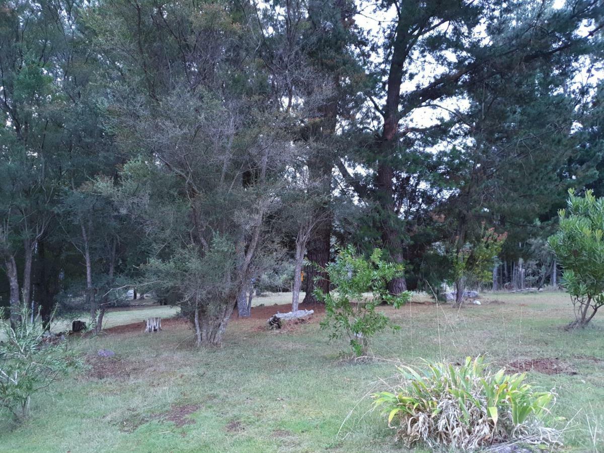 Roland B&B Claude Road Exterior photo